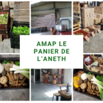 amap le panier de l'aneth